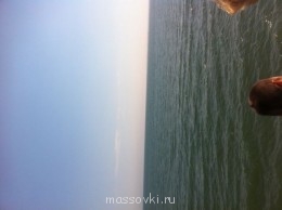 Встречи. Обсуждения встреч. Планирование. - image.jpg