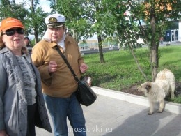 А ведь собачка очень на Никодима похожа!