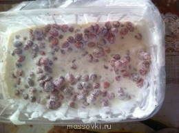 Десерт божественный таков : мороженое с земляничкой!!!!