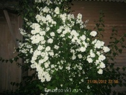 Встречи. Обсуждения встреч. Планирование. - IMG_1406.JPG