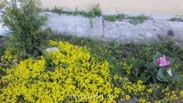 Встречи. Обсуждения встреч. Планирование. - 20140612_195824.jpg