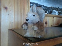 Встречи. Обсуждения встреч. Планирование. - WP_001131.jpg