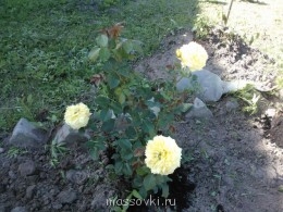Встречи. Обсуждения встреч. Планирование. - WP_001177.jpg