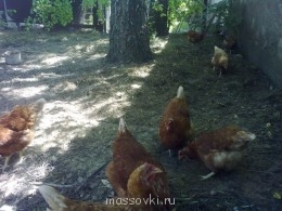 Встречи. Обсуждения встреч. Планирование. - 02072014765.jpg