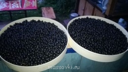 черной икры