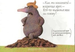 Встречи. Обсуждения встреч. Планирование. - 19fe9a0dcd7b.jpg