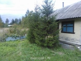 Встречи. Обсуждения встреч. Планирование. - WP_000648.jpg