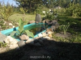 Встречи. Обсуждения встреч. Планирование. - WP_001200.jpg