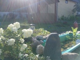 Встречи. Обсуждения встреч. Планирование. - WP_001206.jpg