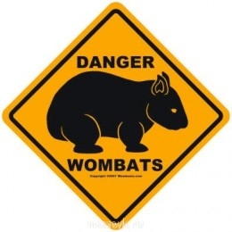 Встречи. Обсуждения встреч. Планирование. - wombat-danger-b.jpg